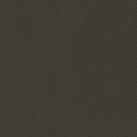 Pelle Frau® SC 28 Seppia