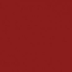 Glänzend lackiert_ Ruby