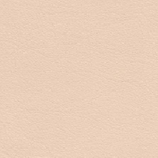 Cuir Standard_ Vegetal_ 20090 Nature