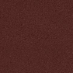 Cuir Standard_ Elegant_ 20193 Indian Red