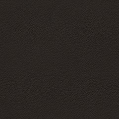 Cuir Standard_ Elegant_ 20197 Mocca