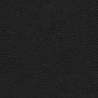 Cuir Standard_ Elegant_ 20198 Black