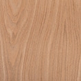 Betulla verniciata effetto rovere (L0010)