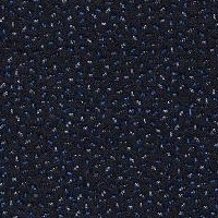 121-Elastic Fantastic_ A8078 - Elastic 4 Sprinkles Crow - Y