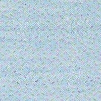 121-Elastic Fantastic1_A8070-Elastic 4 Sprinkles Roller-Y