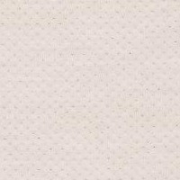 121-Elastic Fantastic1_A7870-Elastic 2 Pitch Pearl-Y