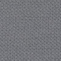 121-Elastic Fantastic1_A7872-Elastic 2 Pitch Storm-Y