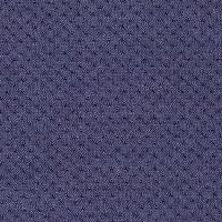 121-Elastic Fantastic1_A7874-Elastic 2 Pitch Prune-Y