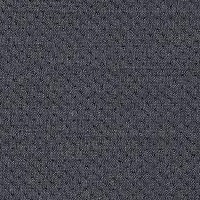 121-Elastic Fantastic1_A7873 - Elastic 2 Pitch Graphite - Y