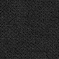 121-Elastic Fantastic1_A7962-Elastic 2 Pitch Caviar -Y