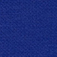 121-Elastic Fantastic1_A7959-Elastic 2 Pitch Royal-Y