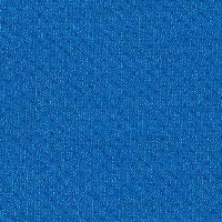 121-Elastic Fantastic1_A7958-Elastic 2 Pitch Sky-Y