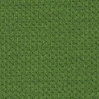 121-Elastic Fantastic1_A7956-Elastic 2 Pitch Grass-Y