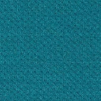 121-Elastic Fantastic1_A7955-Elastic 2 Pitch Petrol-Y