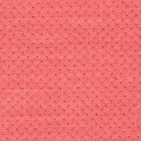 121-Elastic Fantastic1_A7952-Elastic 2 Pitch Rouge-Y