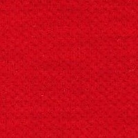 121-Elastic Fantastic1_A7948-Elastic 2 Pitch Passion-Y