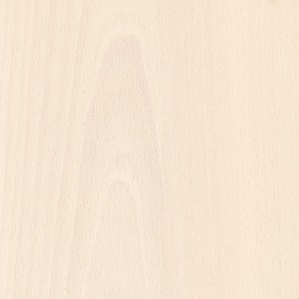 Whitened beech