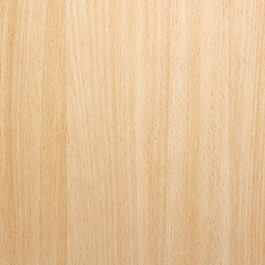 natural beech