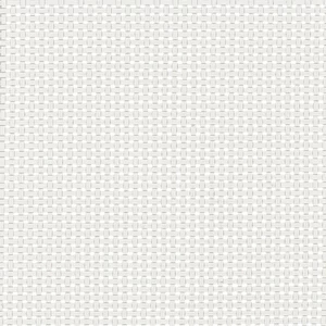 Tissu maillé_ Blanc (R009)