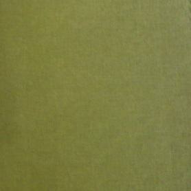 Cat B_ Loira_ Verde 250