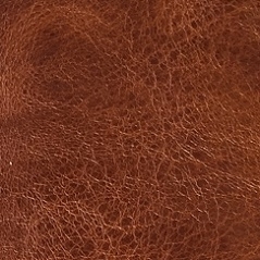 cat. A+_ Tuscany Siena