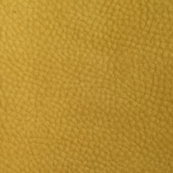 Cat A_ Nabuck Saffron