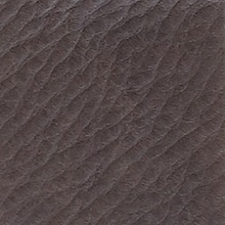 Cat C_ Old Shabby Caffè 