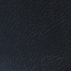 Cat C_ Old Shabby Nero