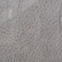 Cat C_ Old Shabby Pietra