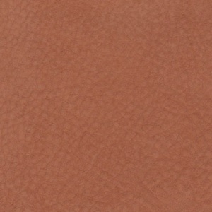 Cat. 9_ Nabuk _ col. 8017