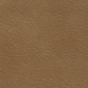 Cat. 9_ Nabuk _ col. 8019