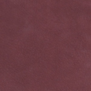 Cat. 9_ Nabuk _ col. 8018