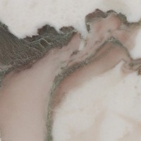 Calacatta oro shiny marble