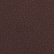 Leather_69 chestnut