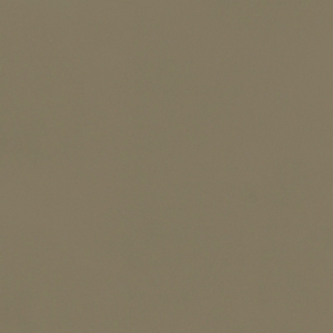 Saddle Leather_ 48 Lino