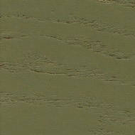 Olive stained NCS S6030-G50Y European ash