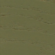 Olive stained NCS S6030-G50Y European ash
