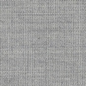 Cat. A_ Canvas 2 124