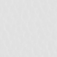 Cuero_Pelle Special_ 18 Blanco