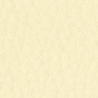 Cuero_Pelle Special_ 39 Panna