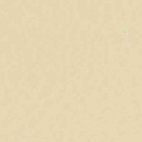 Cuero_Pelle Special_ 19 Avorio