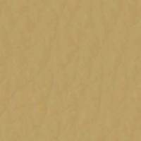 Cuero_Pelle Special_ 56 Beige