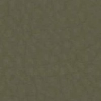 Cuero_Pelle Special_ 67 Stone