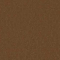 Cuero_Pelle Special_ 48 Nocciola