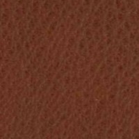 Cuero_Pelle Special_ 60 Bulgaro