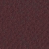Cuero_Pelle Special_ 27 Bordeaux