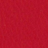 Cuero_Pelle Special_ 37 Rojo