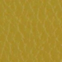 Cuero_Pelle Special_ 66 Cedro