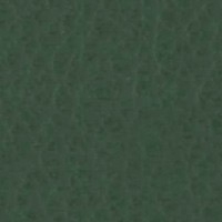 Cuero_Pelle Special_ 08 Foresta