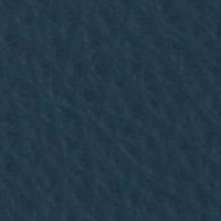 Cuero_Pelle Special_ 33 Azul